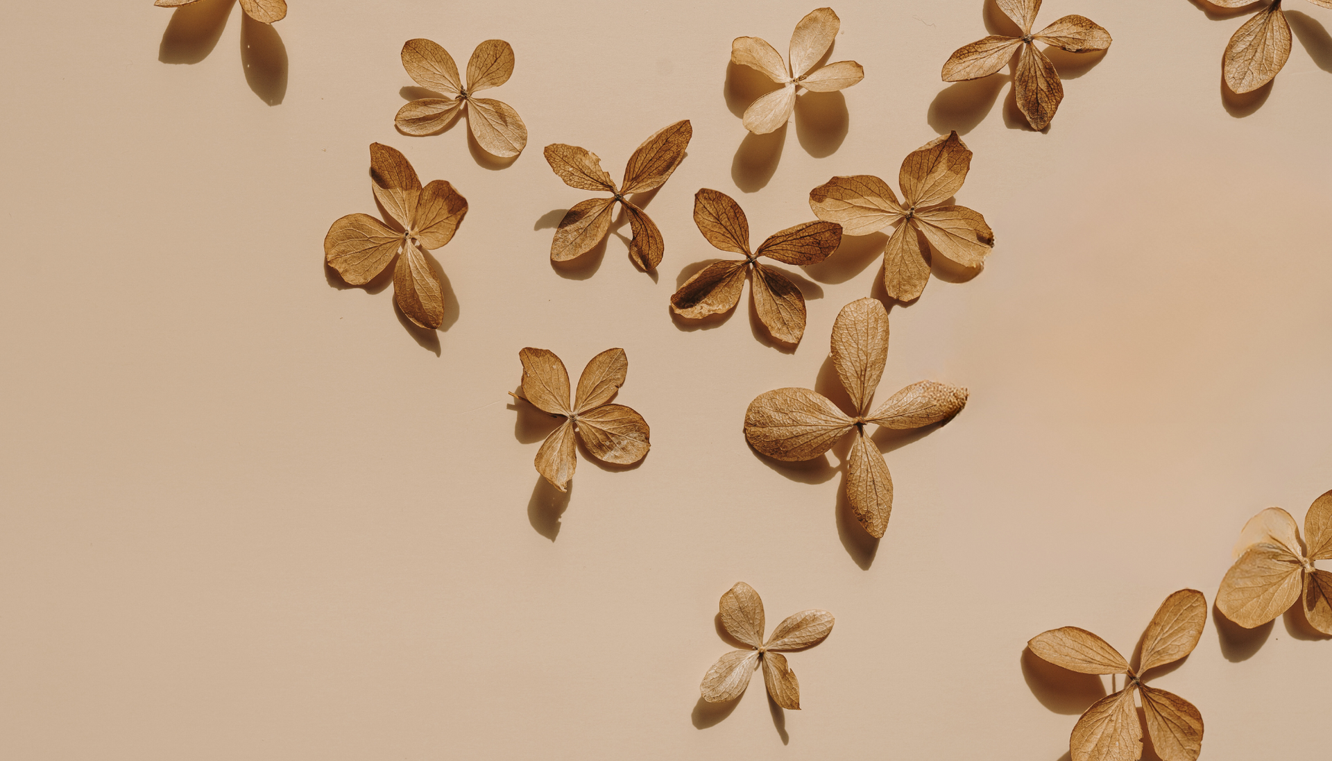 Untitled design (37).png__PID:a71d2706-d956-4abe-8ad6-be99b85e3576